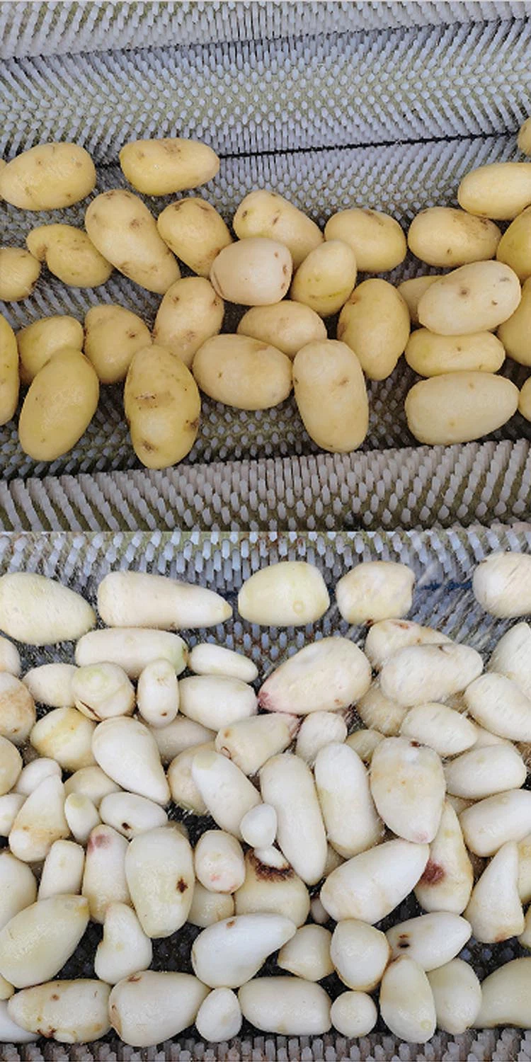 potato peeler machine 1